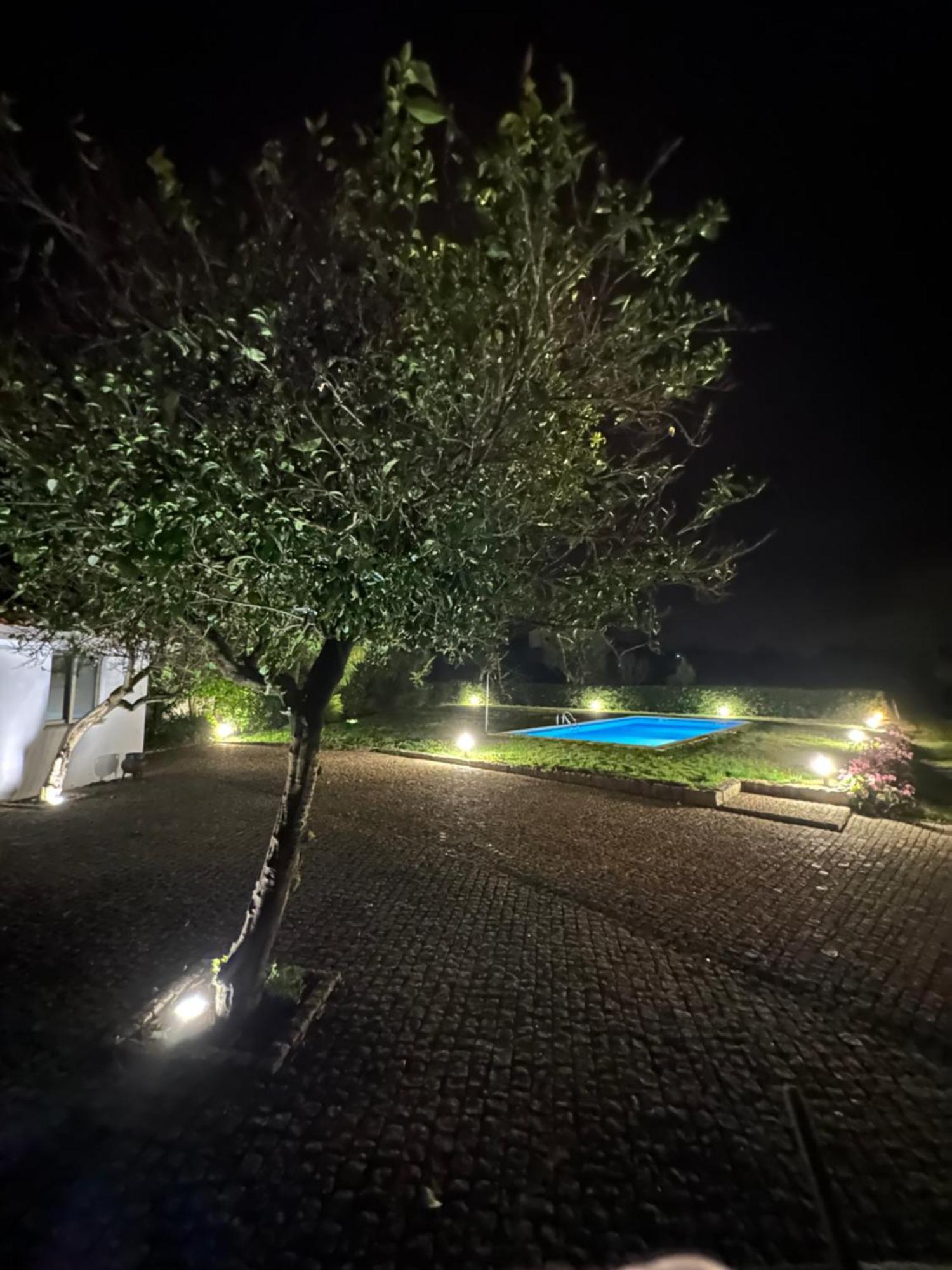 Casa Da Clarinha Villa เปอนัลวาดูกาสเตโล ภายนอก รูปภาพ
